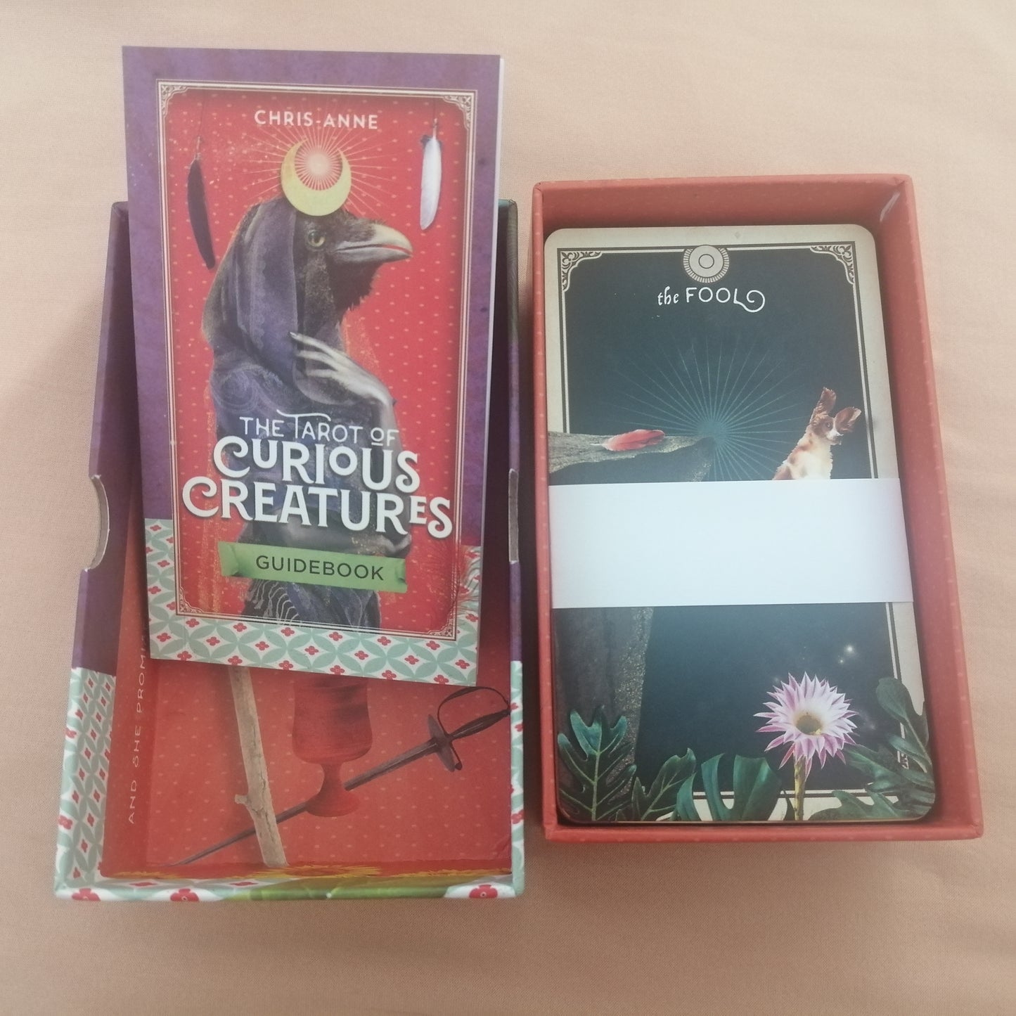 Tarot of the Curious Creatures (Pre-loved)