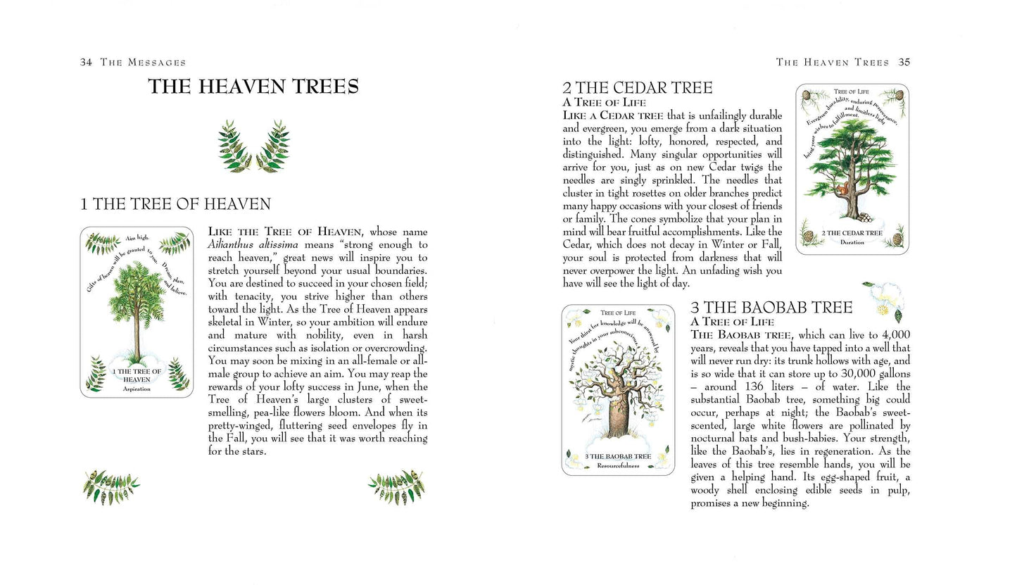 The Tree Magick Oracle Deck